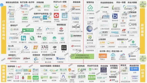 农业信息化 互联网服务如何助力现代农业发展